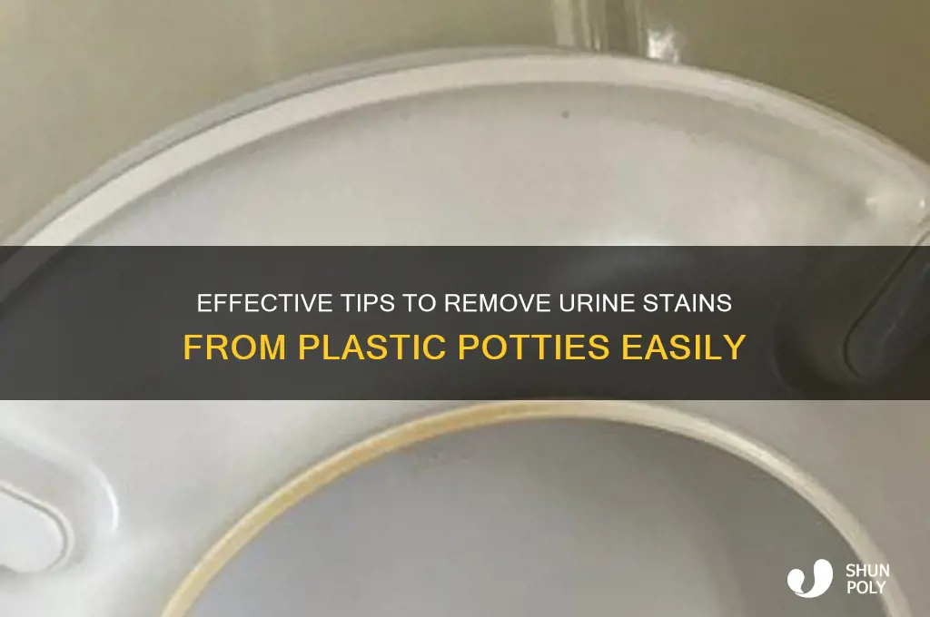 how to remove urine stain from plastic potty