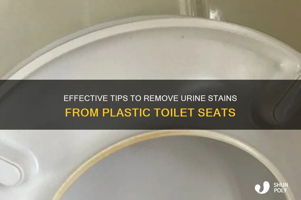 how to remove urine stains from a plastic toilet seat