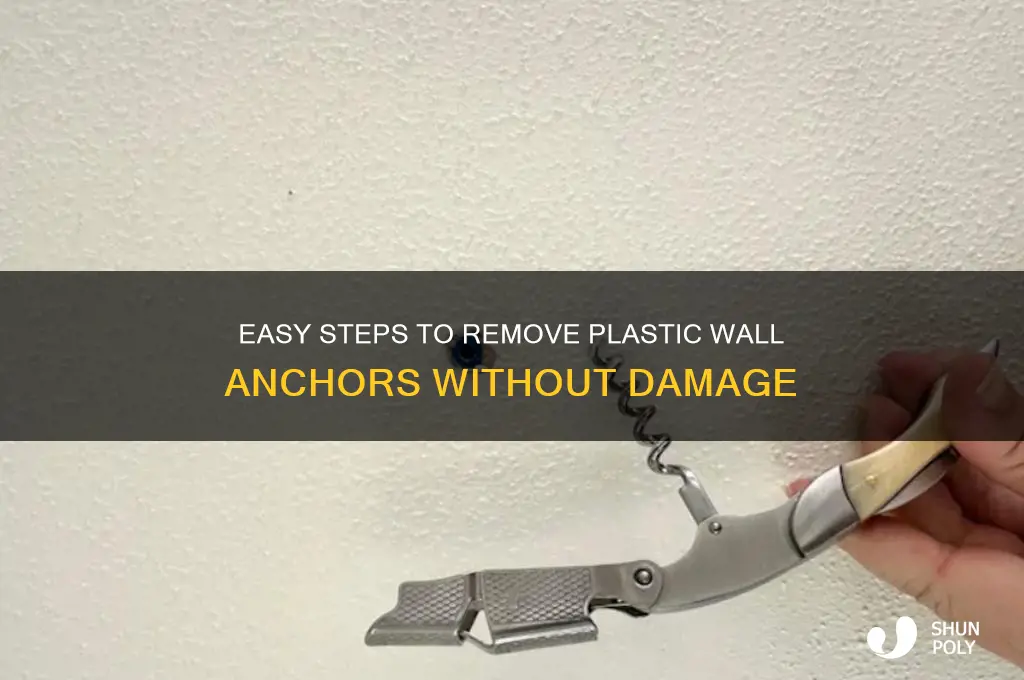 how to remove wall anchor plastic