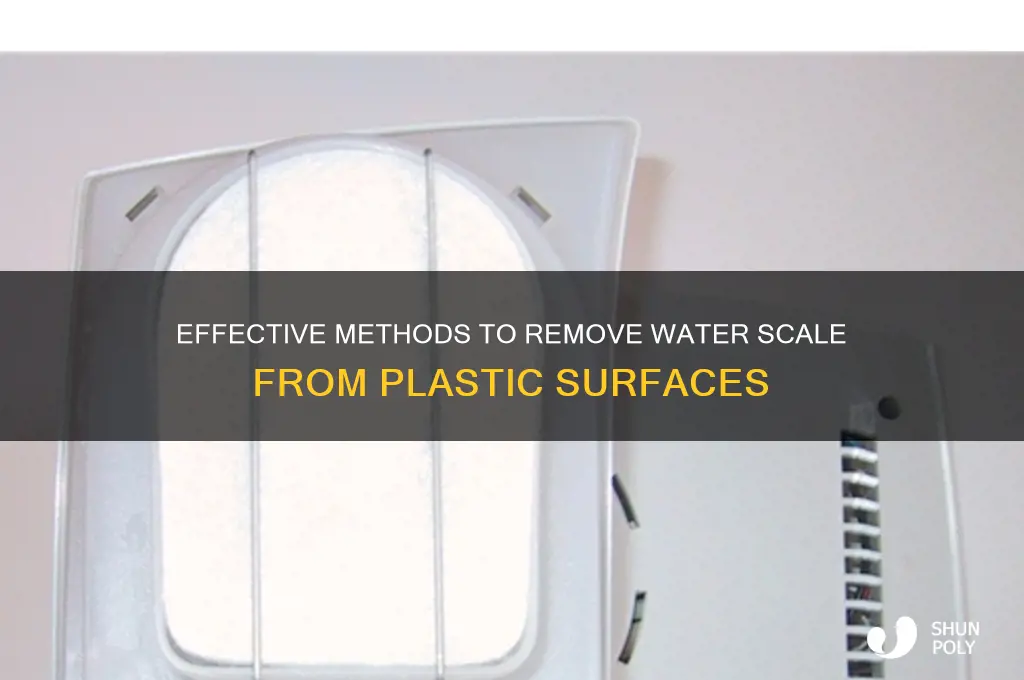 how to remove water scale from plastic