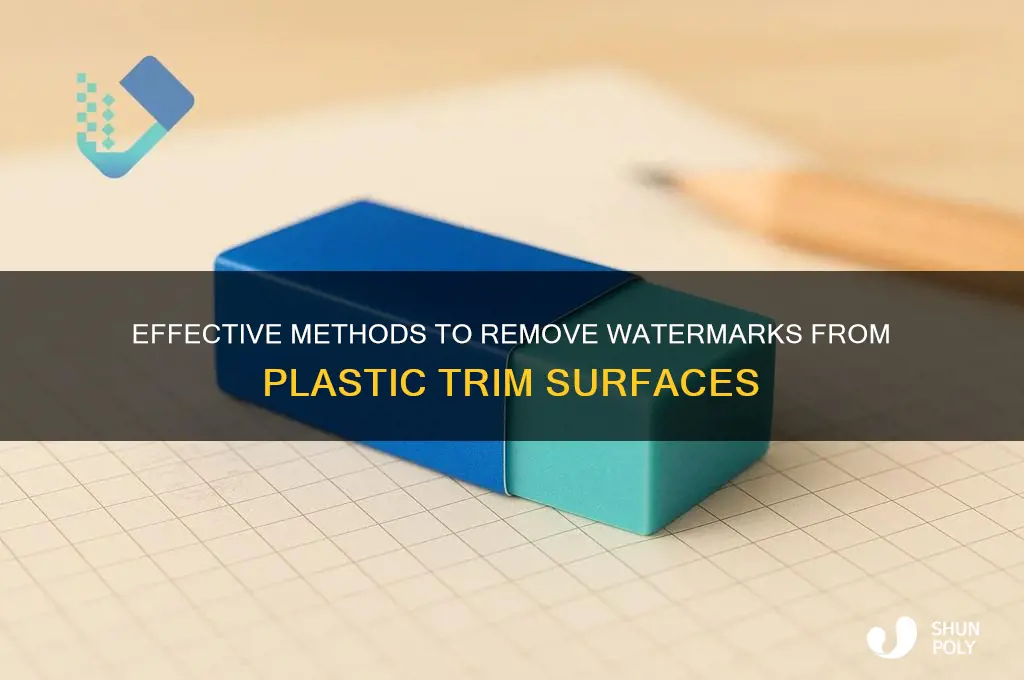 how to remove watermark on plastic trim