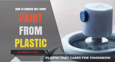 Effective Methods to Remove Wet Spray Paint from Plastic Surfaces