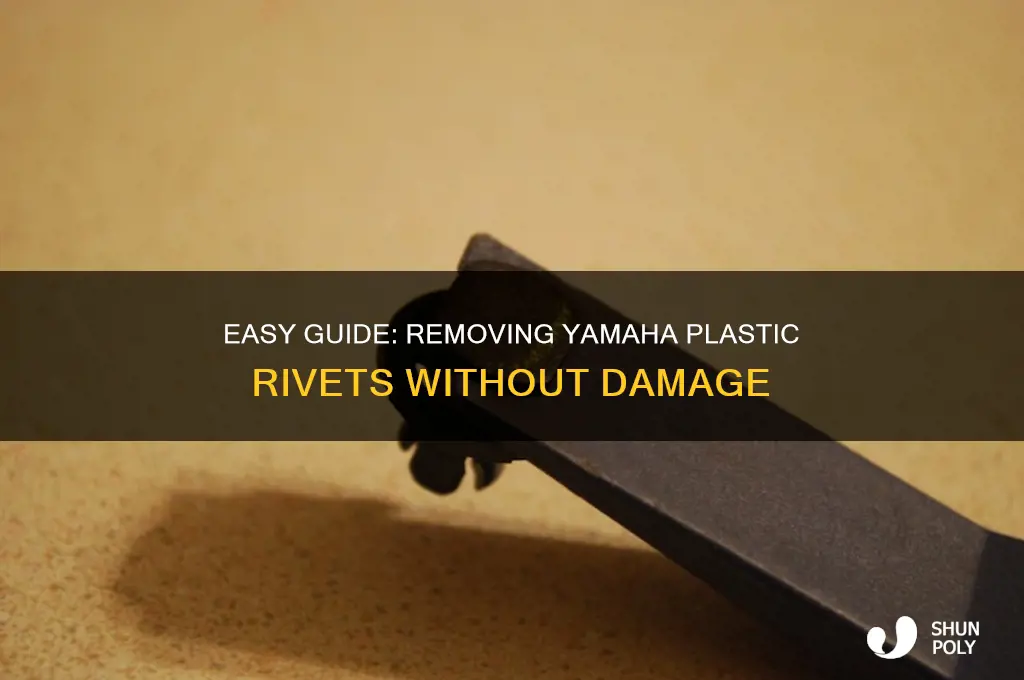 how to remove yamaha plastic rivets