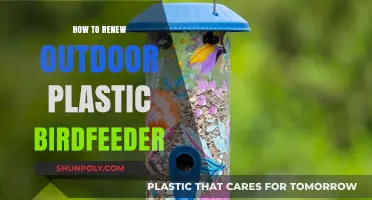 Renewing Your Plastic Birdfeeder: A Simple DIY Guide