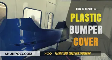 The Perfect Plastic Bumper Paint Job