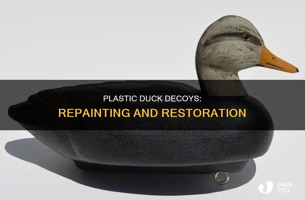 how to repaint plastic duck decoys