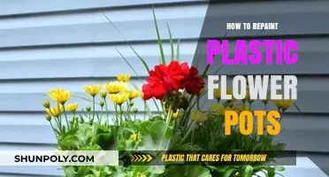 Revamp Your Plastic Pots: A Simple Painting Guide