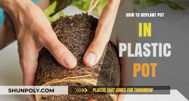 Replanting Pots: Plastic Pot Transition