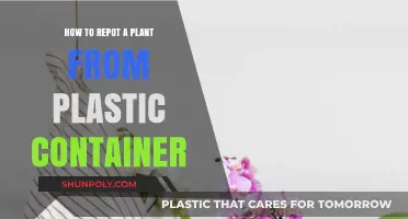 Repotting Plants: From Plastic to New Abode
