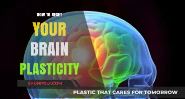 Unlocking Brain Plasticity: Resetting Your Mind's Potential