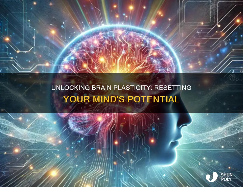 how to reset your brain plasticity