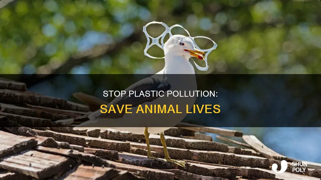 how to resolveg animal deaths by plastic