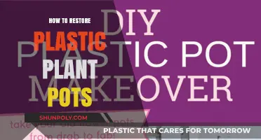 Reviving Plastic Planters: Tips for a Fresh Look