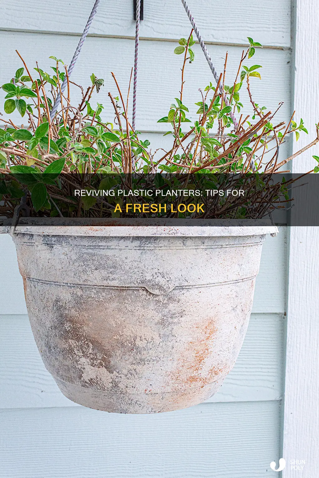 how to restore plastic plant pots