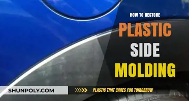Restore Car Plastic Side Molding Like a Pro