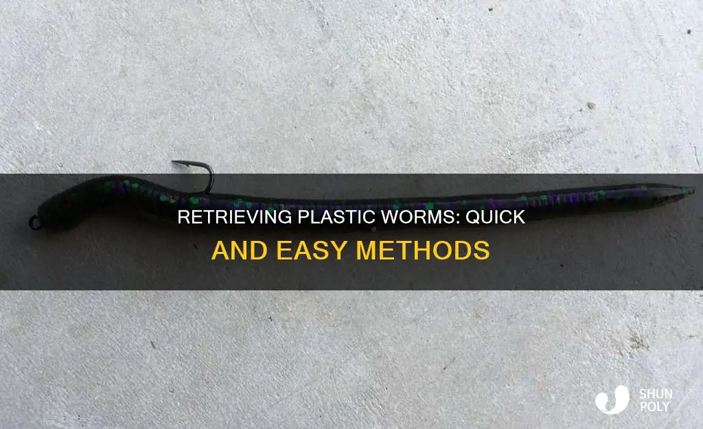 how to retrieve a plastic worm