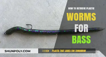 Bass Fishing: Retrieve Plastic Worms Like a Pro
