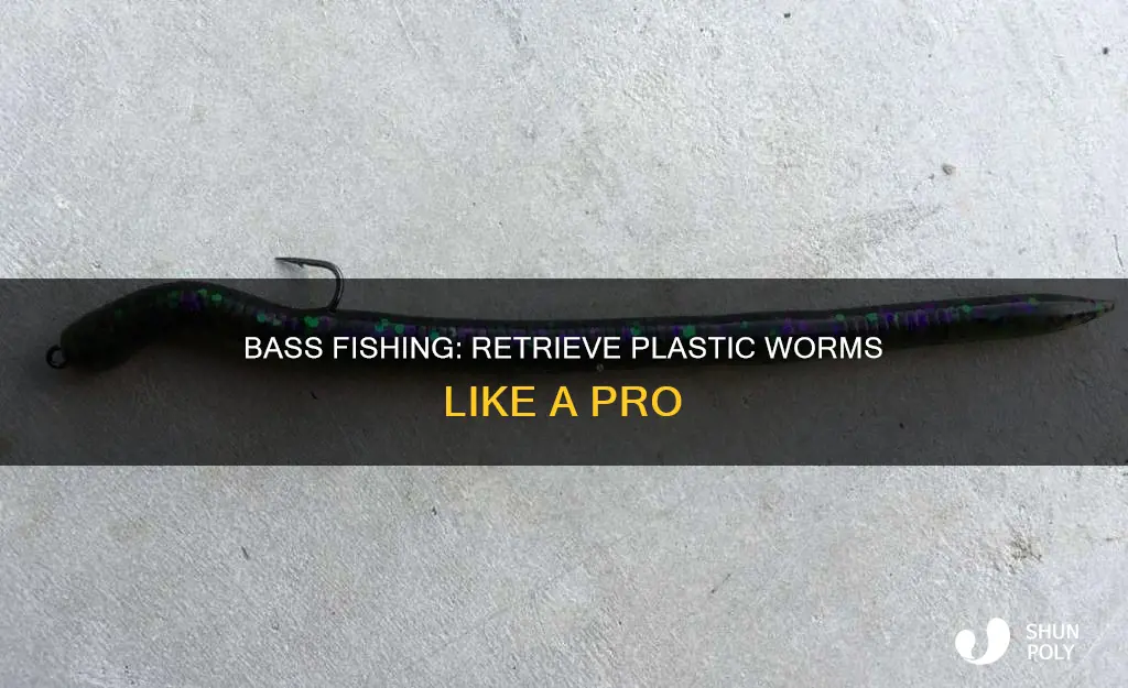how to retrieve plastic worms for bass