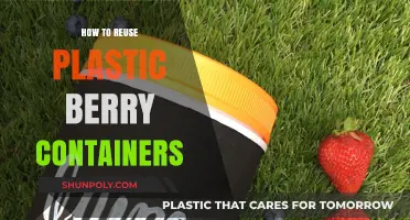 Creative Ways to Reuse Plastic Berry Containers