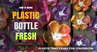Creative Ways to Reuse Plastic Bottles for Fresh, Eco-Friendly Living