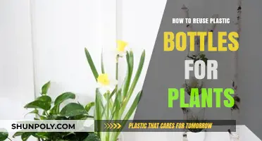 Creative Ways to Reuse Plastic Bottles for Planters and Gardens