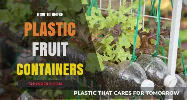 Creative Ways to Reuse Plastic Fruit Containers