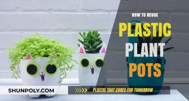 Creative Ways to Reuse Plastic Plant Pots
