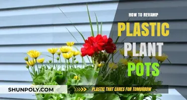 Revitalizing Plastic Plant Pots: Creative DIY Ideas