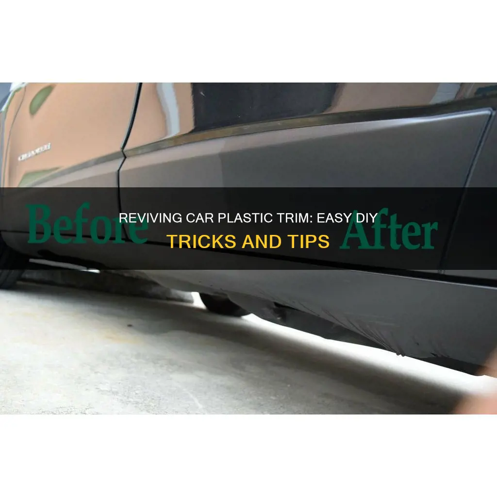 how to revive plastic car trim