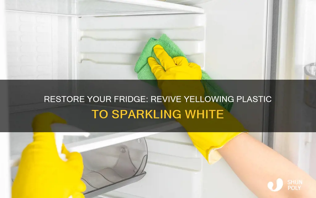 how to rewhiten tellowing plastic on fridge