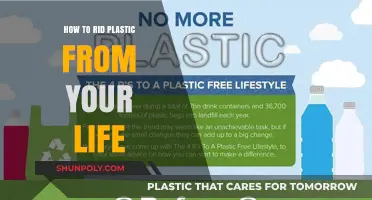 Liberating Your Life from Plastic's Grasp