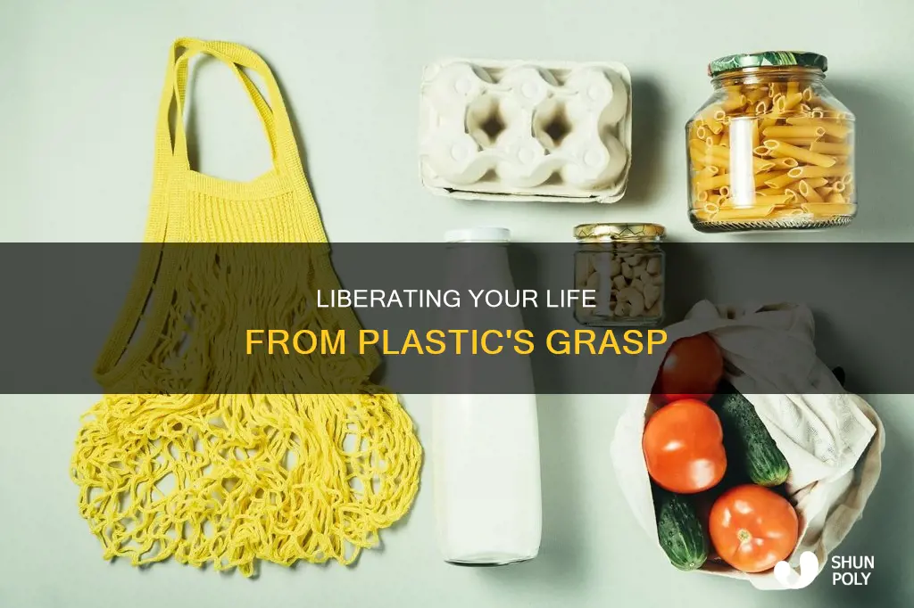 how to rid plastic from your life