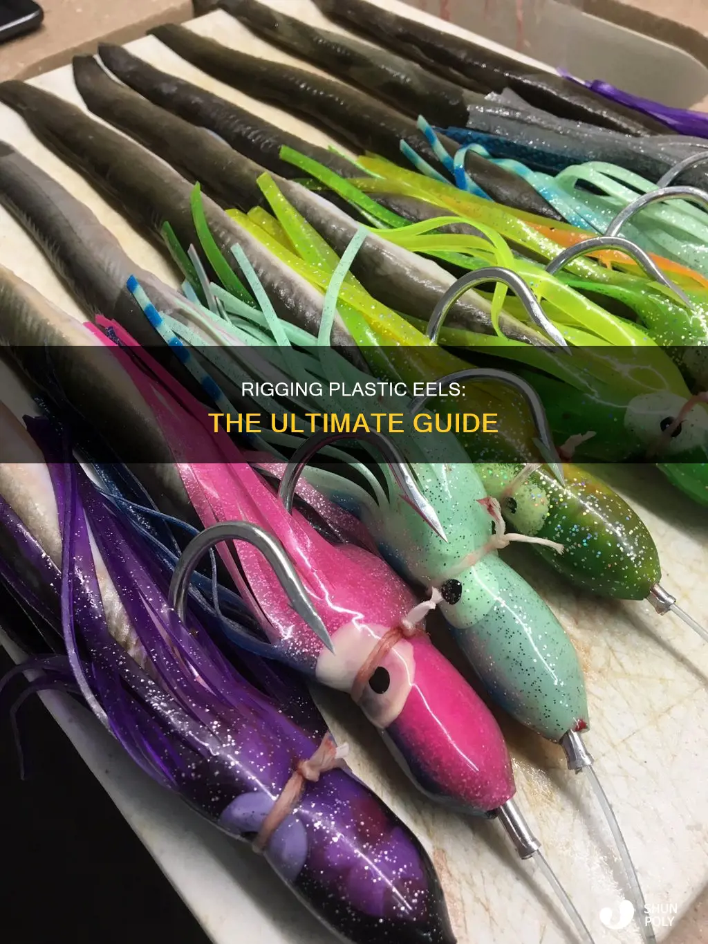 how to rig a plastic eel