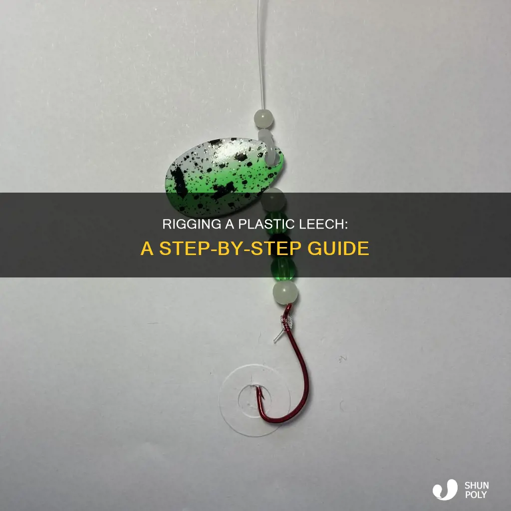 how to rig a plastic leach