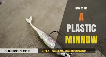 Rigging Plastic Minnows: The Ultimate Guide