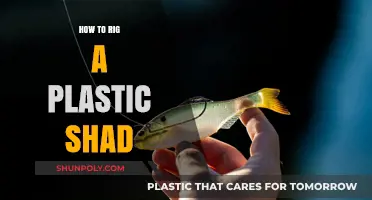 Rigging Plastic Shad: The Ultimate Guide