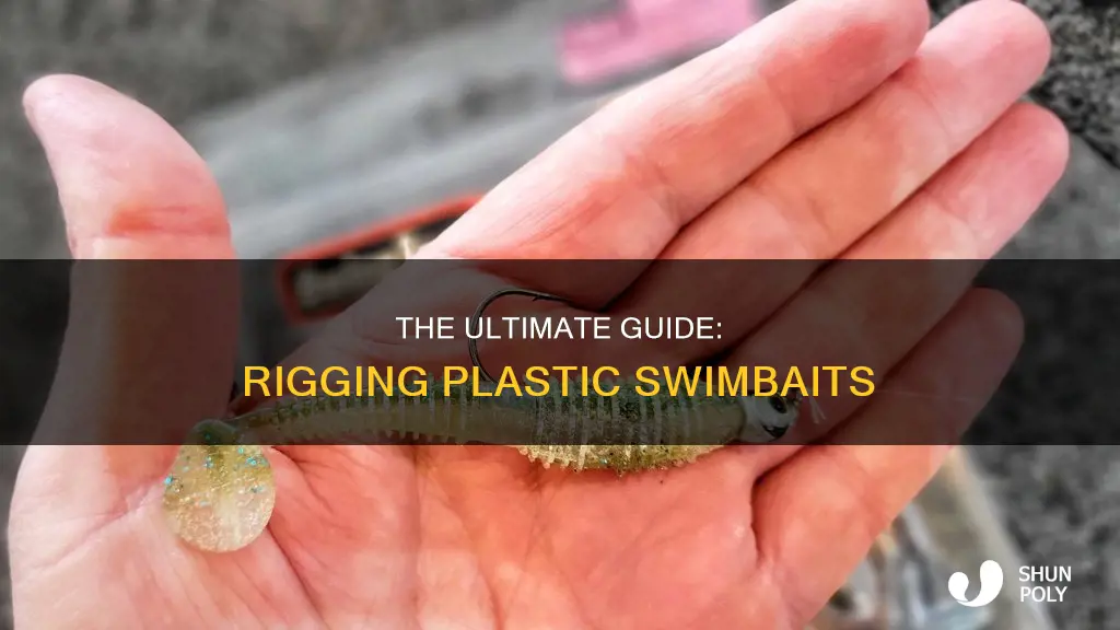 how to rig a plastic swimbait