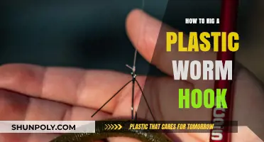 The Best Way to Rig a Plastic Worm Hook