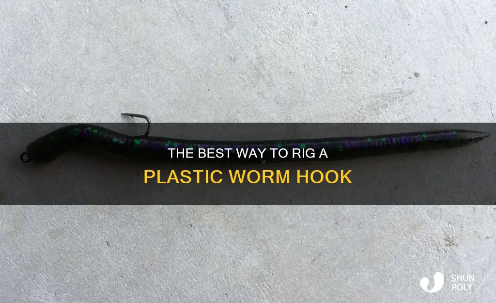 how to rig a plastic worm hook