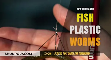 Plastic Worms: Rigging and Fishing Techniques for Success