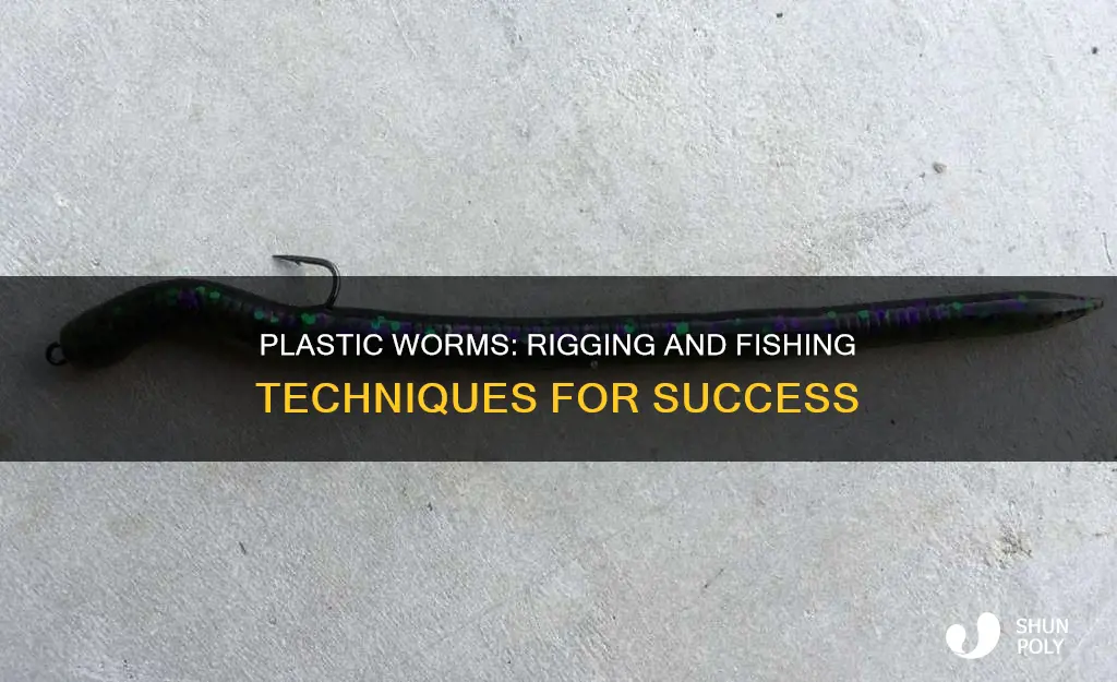 how to rig and fish plastic worms