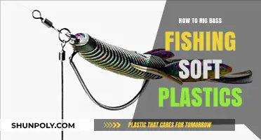 Rigging Soft Plastics for Bass: The Ultimate Guide