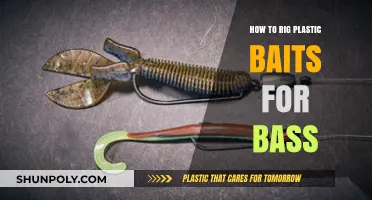 Rigging Plastic Baits for Bass: The Ultimate Guide