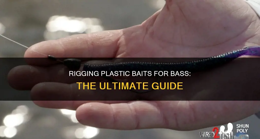 how to rig plastic baits for bass