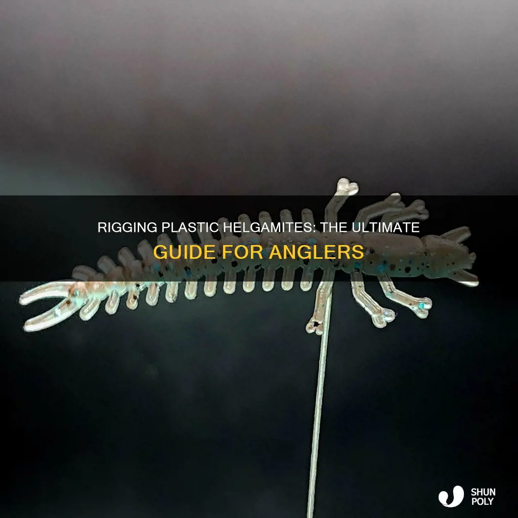 how to rig plastic helgamites fishing lures