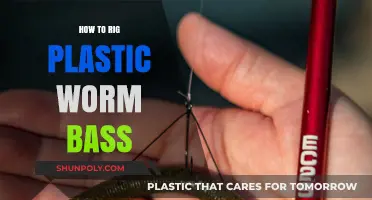 Rigging Plastic Worms for Bass: The Ultimate Guide