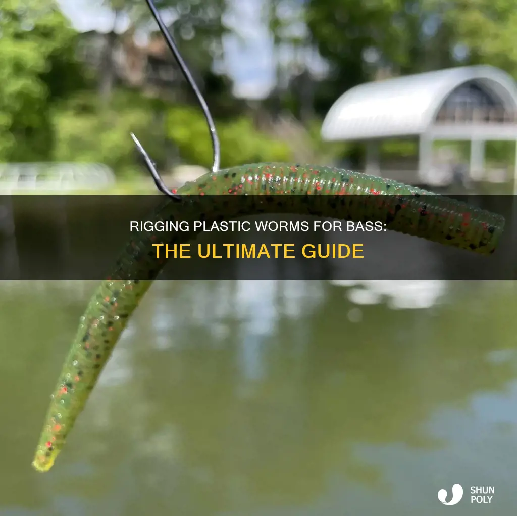 how to rig plastic worm bass
