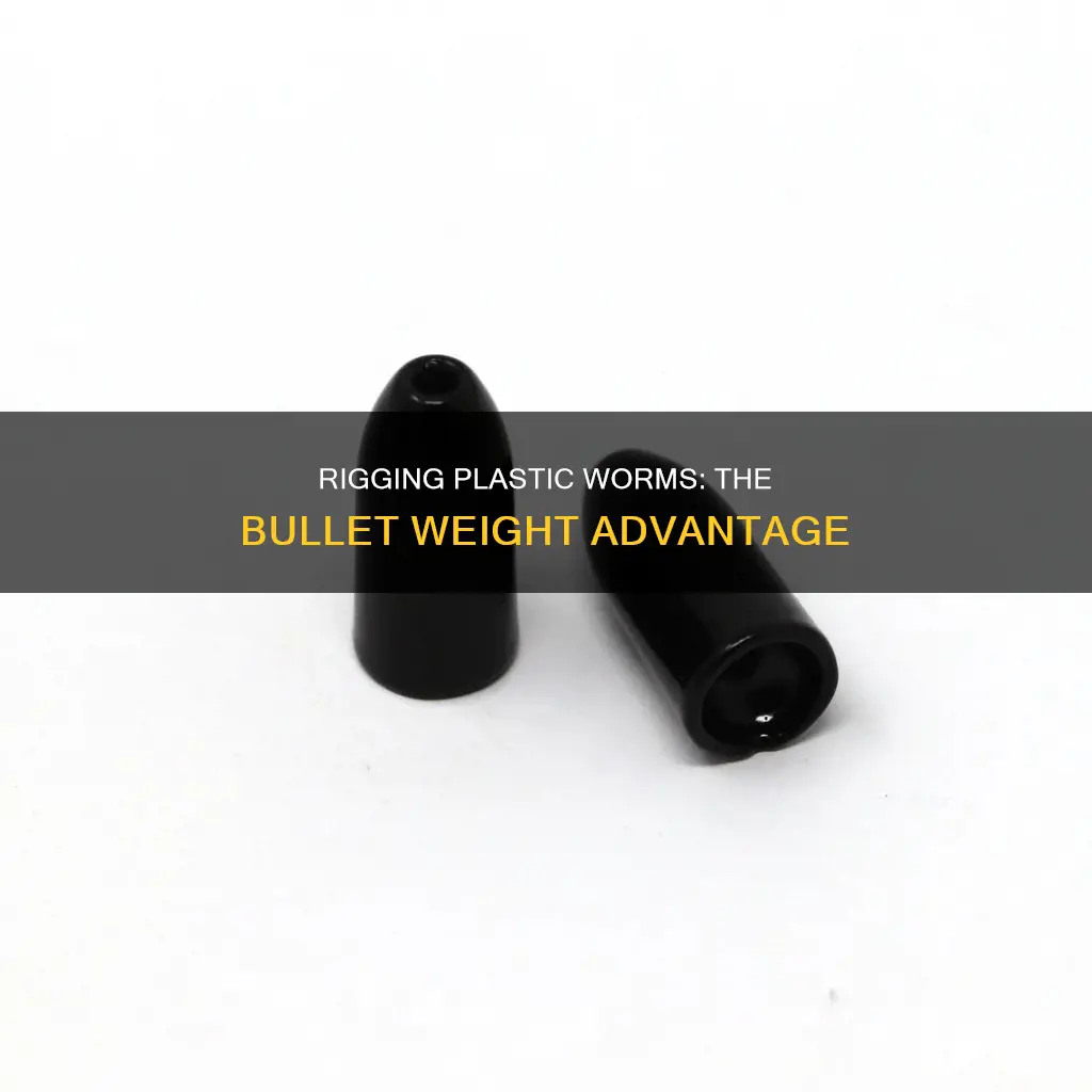how to rig plastic worm bullet weight