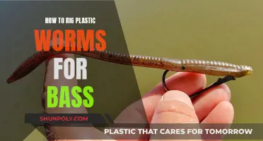 Plastic Worms for Bass: Rigging Techniques for Success