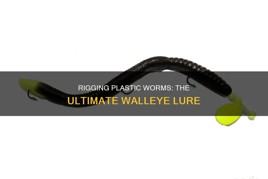 how to rig plastic worms for walleye